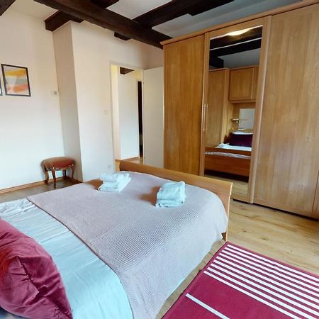 Aux Bijoux De Colmar - Le Saphir - 1 Parking Gratuit Διαμέρισμα Εξωτερικό φωτογραφία